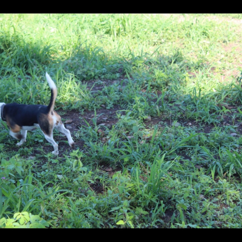 Meet your Posher, Nathaly